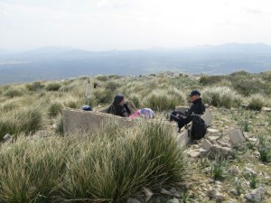 IMG_4786 (Medium)